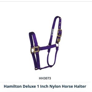Horse Halter -HH3073 Purple with Brass Hardware DRAFT HORSE - HALTER XL Size NWT